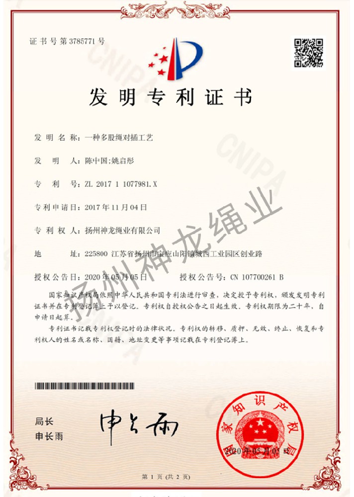 Patent for invention