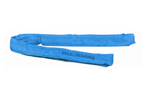 R01 type (ring type)